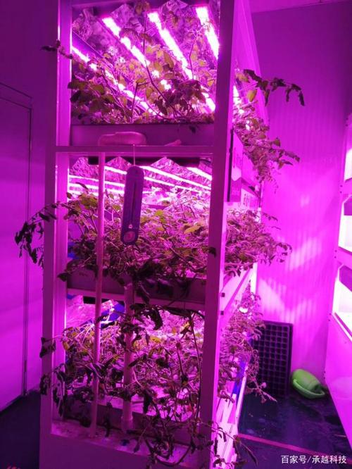 京东植物工厂与室内环境检测 双轮驱动健康产业未来消费增长